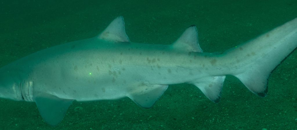 0b9a3ce6-b99a-4d89-8241-845a3db96382