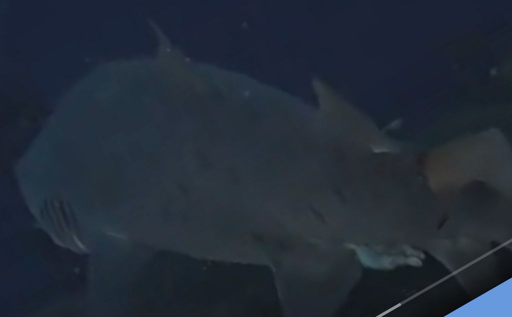 9f8be97d-1c68-438a-9d6d-7947225f9320