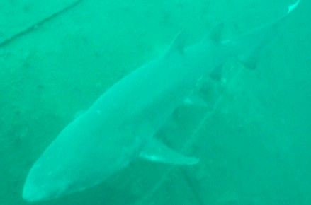 ec5b7179-28a9-4d59-a329-bf4c49558a60