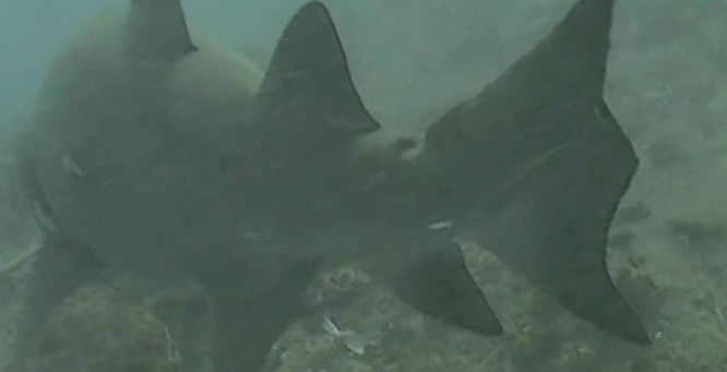 b7c4b156-56f5-49d4-9692-4237985f4750