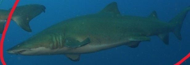 5ab11876-8fb5-49bd-a973-cfefb9fee2a5