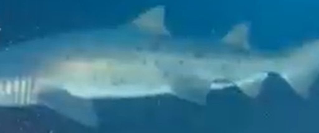 572cbc3f-fc1e-4af4-a669-223db107809a