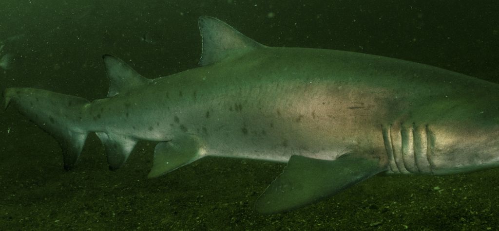 856f4f11-d443-4c87-82d7-faa3c1eeeab3