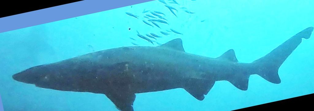 81baf329-593b-4852-9e9a-70e44a52893b