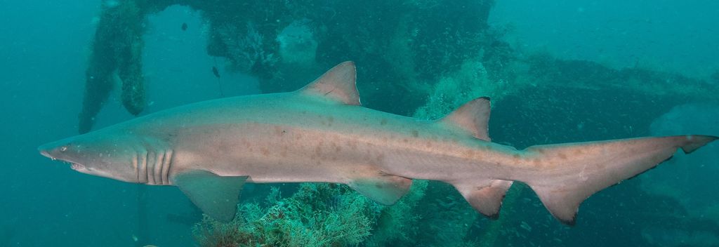 2d9003ca-275e-4489-ab1d-4f4c90ee4589