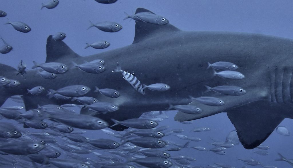 eb8debe7-aa31-4628-b29b-580be9d480ef