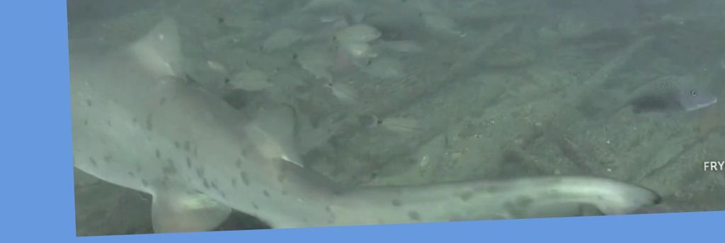 baba35e3-2f81-4c59-8c1e-522a3637dca5