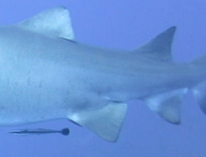 b7a58e0b-155c-4142-9684-cbe78db95546