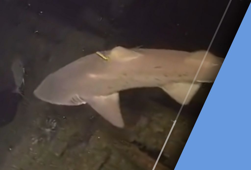 2a9687f9-d801-4e4d-bbf7-470096e85642