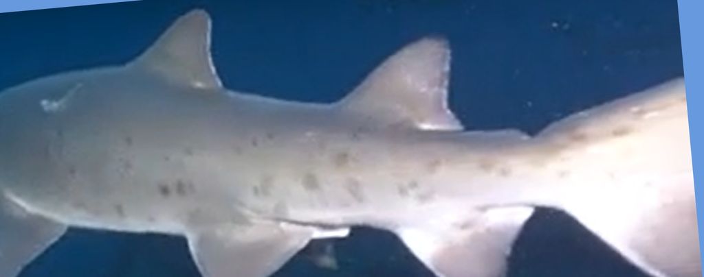 12cdfd14-0401-4c95-96a4-f0d2b978d462