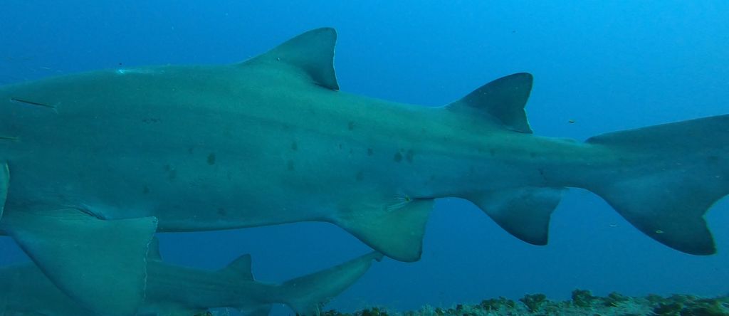 bcbf8714-8b62-4e38-9b25-10d2a7622beb