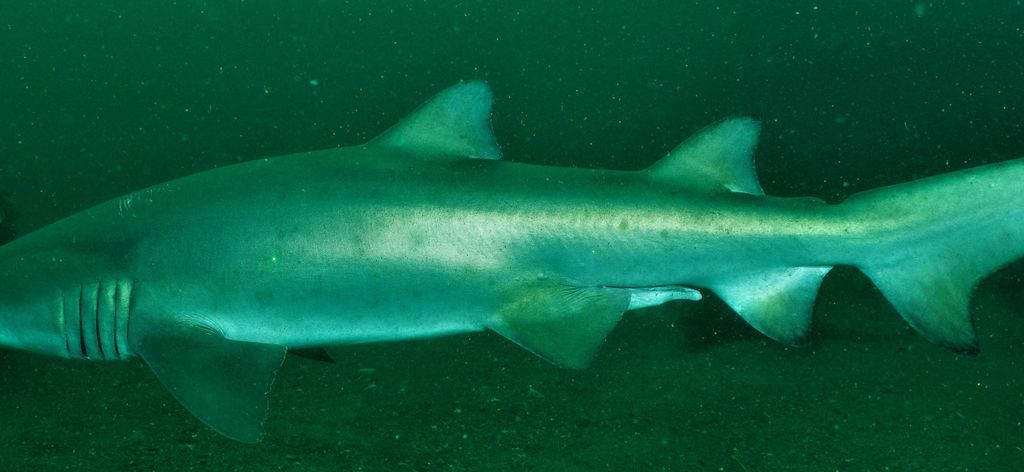 10bd51a4-8e65-41a8-81b8-8708567c724e