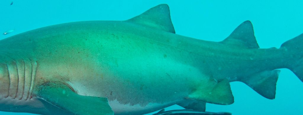 486df443-5954-42a1-82dc-385a00000fb7