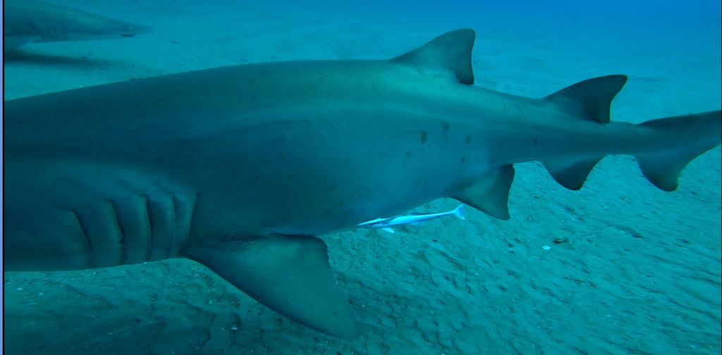 38433f4f-b710-4a30-b8d0-b446bc22e9b5