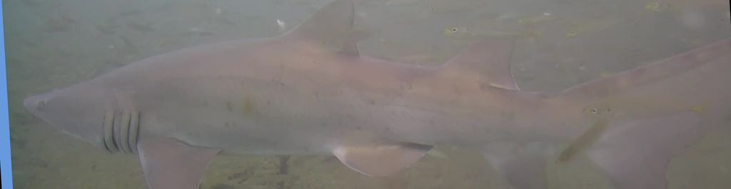 339a640a-98db-448d-bb88-c41928a10241