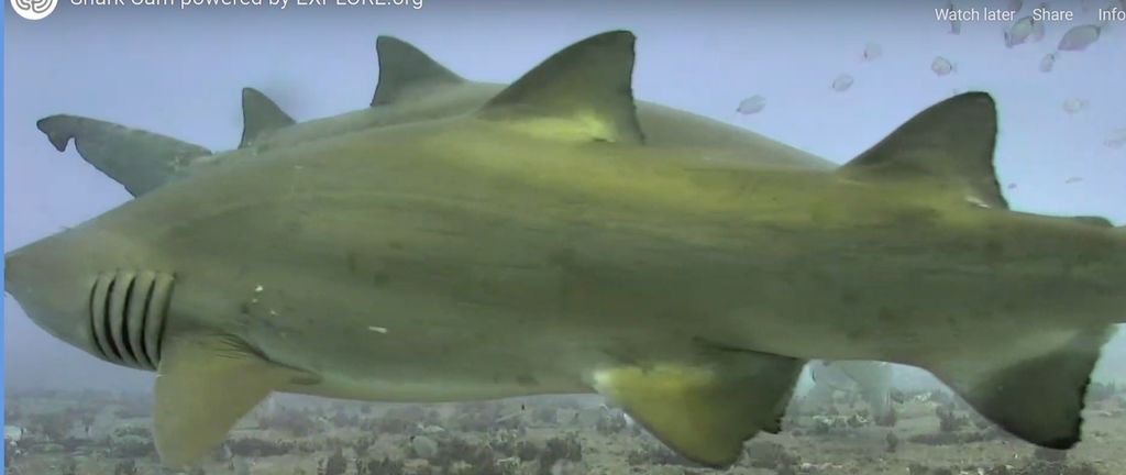 fa7d778c-eb3b-4988-9d8b-12ff25d5bdec