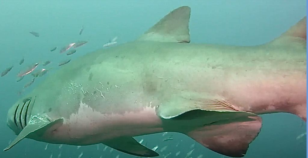 c6abc3f5-ad32-4ac9-aa4f-45b08649fffc