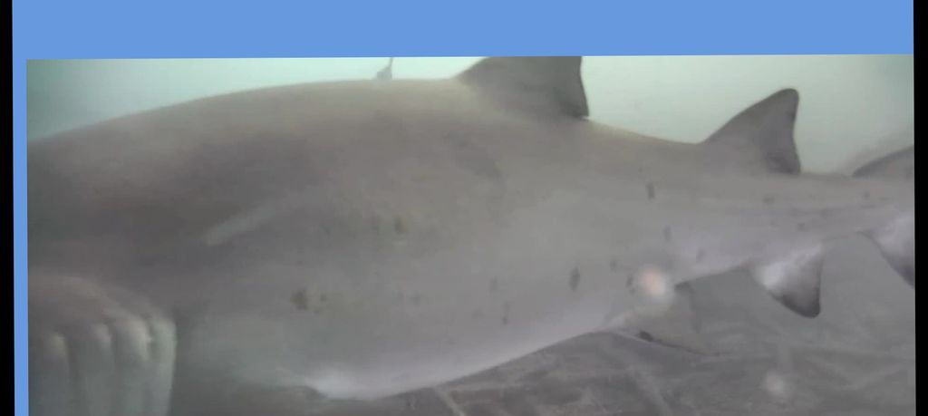 6a0ed272-9bf9-4553-b9d8-e41b0870b3ad