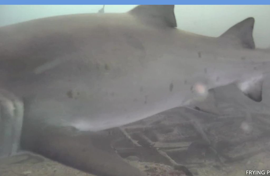 6a0ed272-9bf9-4553-b9d8-e41b0870b3ad