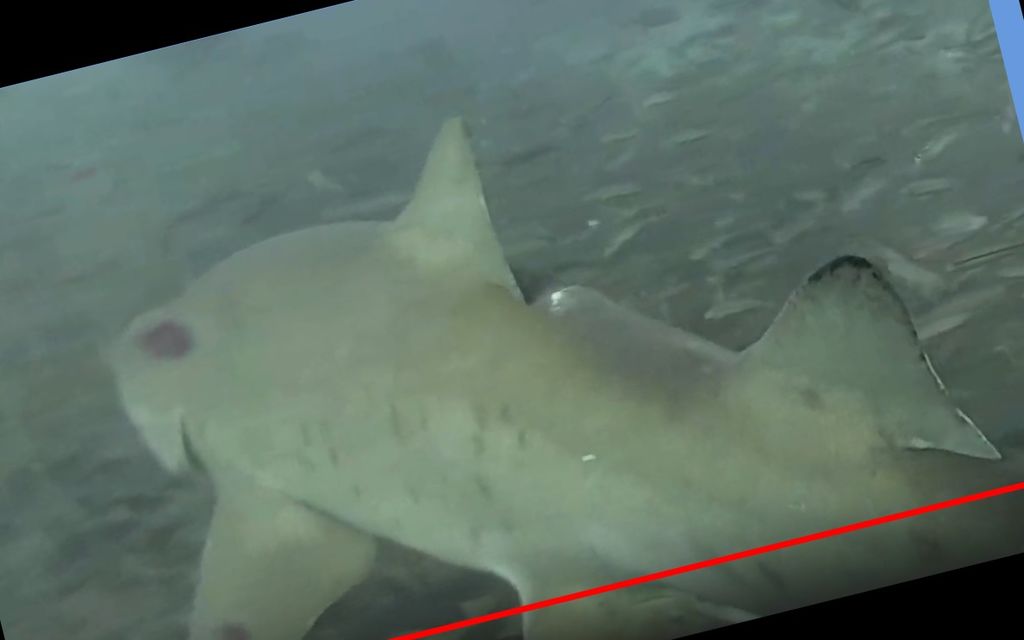 57dd5c69-909a-4cb7-ae27-b1fb7bf5abac