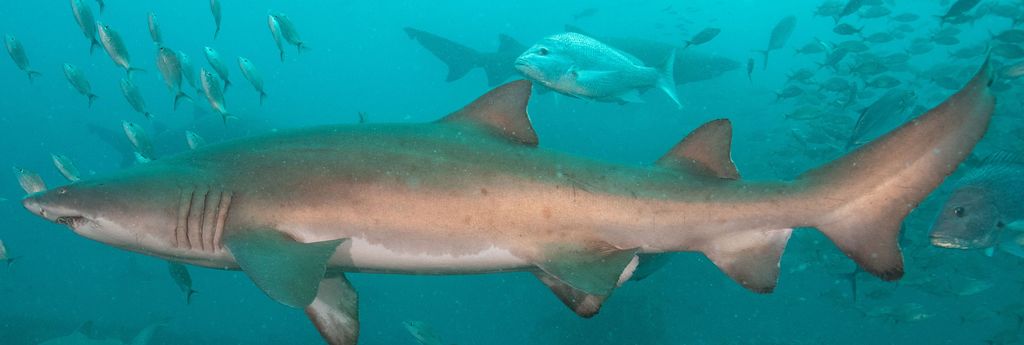 b976cf7b-6a6a-44e3-b640-e09a400b2afc