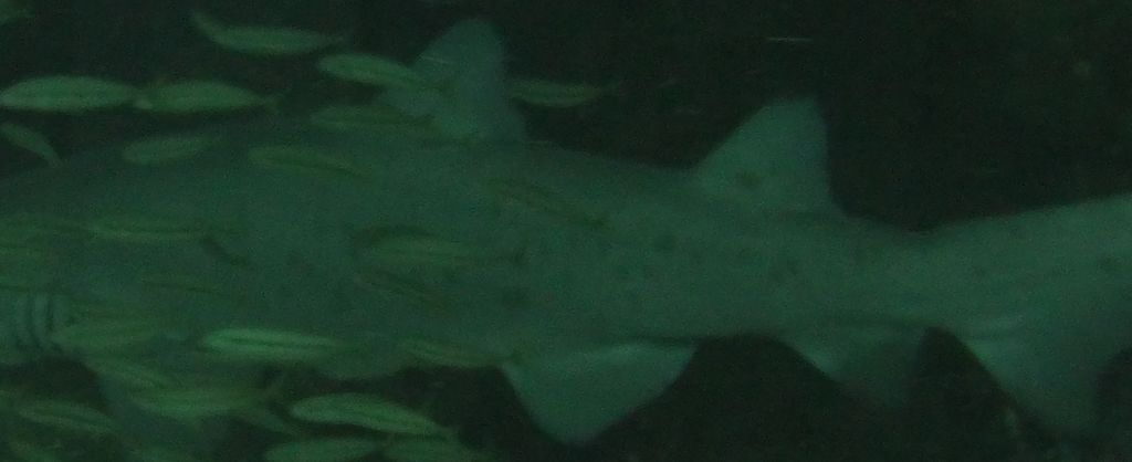 7ddf9240-5696-4910-8461-f46004329a4a