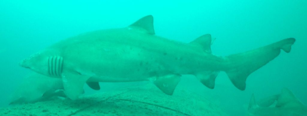 09da25e7-1a02-45e2-ab9a-c8991484bf9c