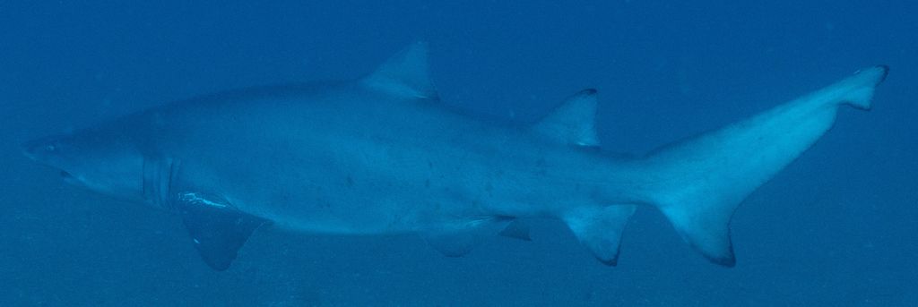 93d8c687-9b41-45ec-8ce9-6237bf2c6599