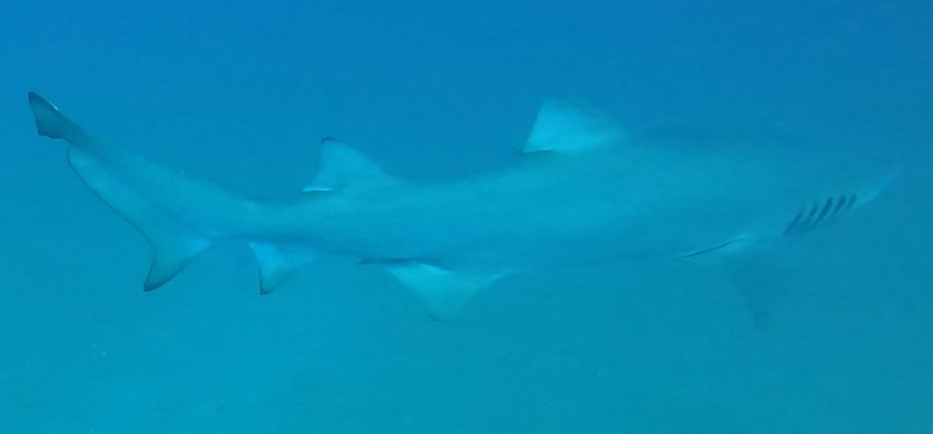 93d8c687-9b41-45ec-8ce9-6237bf2c6599