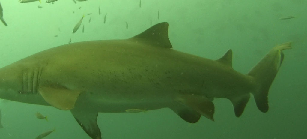 9aca2560-7b16-4d67-8ba6-1569d26e7a50