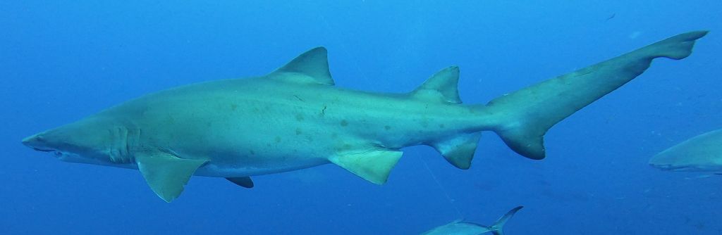 b147e80f-555a-48c0-a9d0-6ab2325fe0f8