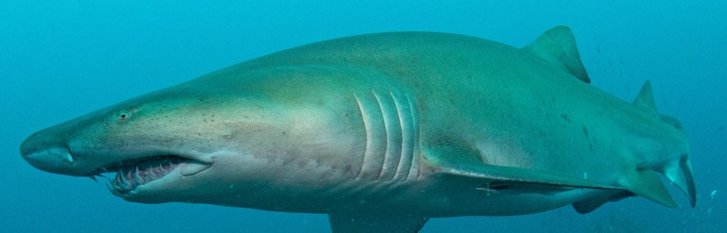 58468994-f483-42a9-b9c8-16cff48e26e8