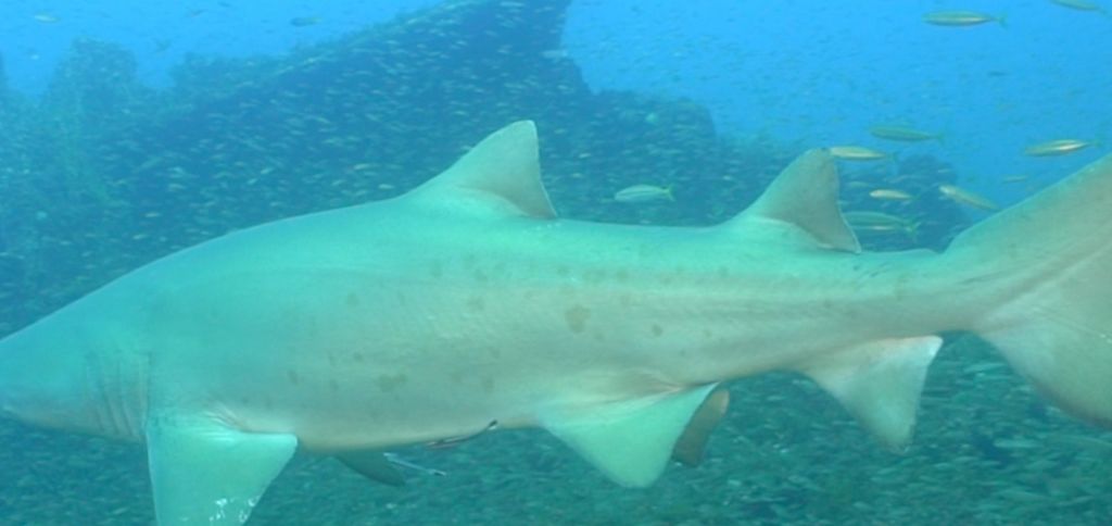 7894d6e6-cef0-424a-97d6-2168db43f215