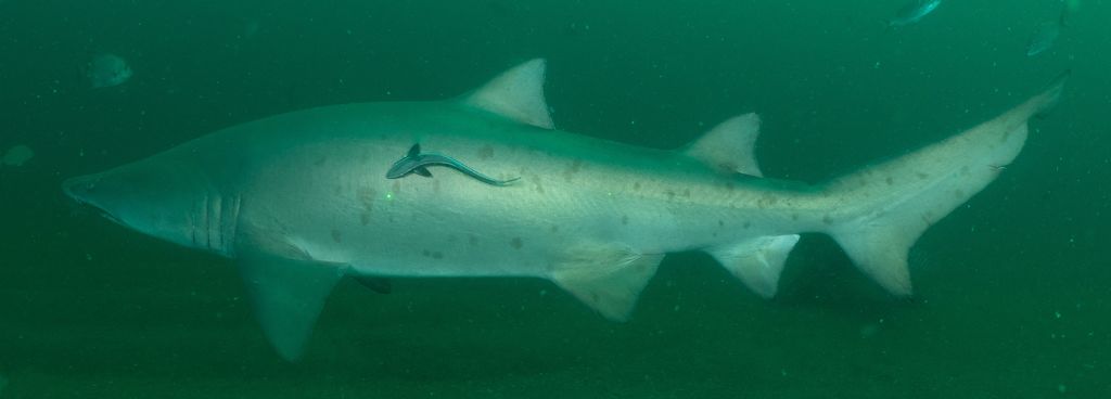 71d03053-57de-49ff-83f9-975392156b16