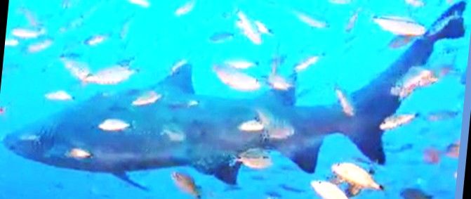 8e3def7a-dd80-4610-a25d-c430a6af7f68