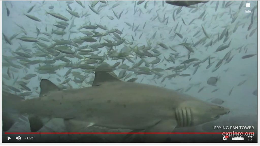 c25a4d3d-235c-43ca-be63-808a68c37976