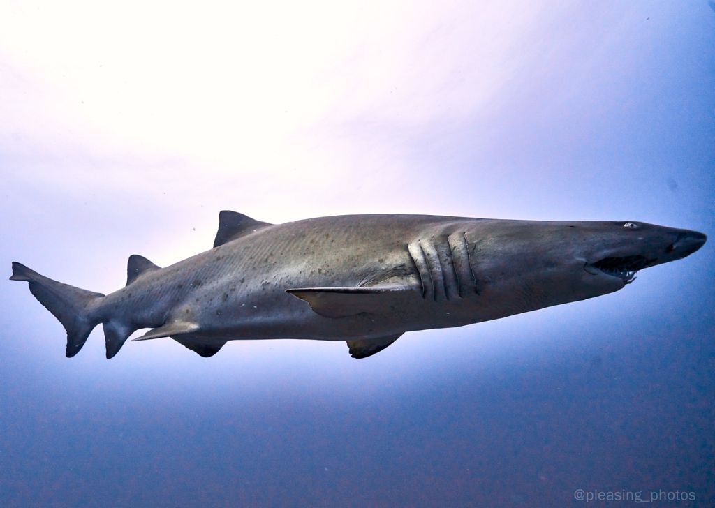 2a5e2a14-7d3e-4ad2-b403-95ae967593da