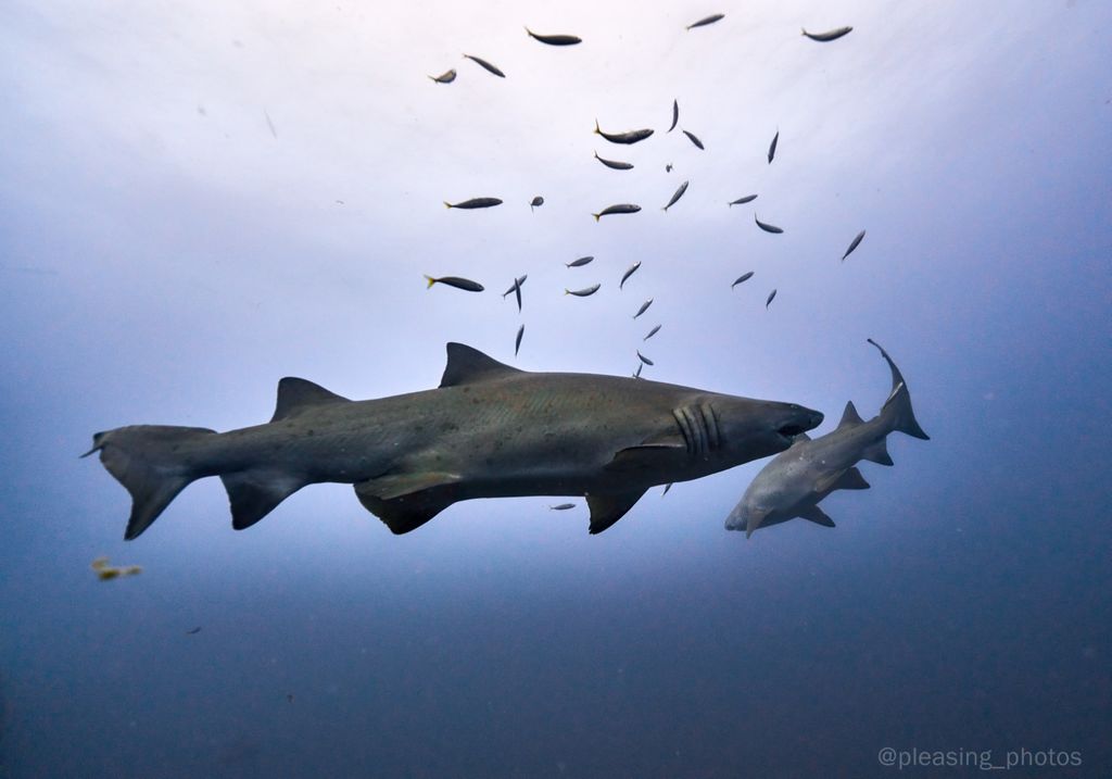 2a5e2a14-7d3e-4ad2-b403-95ae967593da