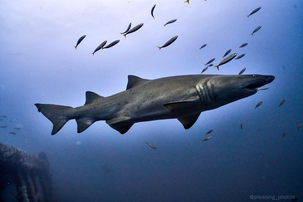 2a5e2a14-7d3e-4ad2-b403-95ae967593da