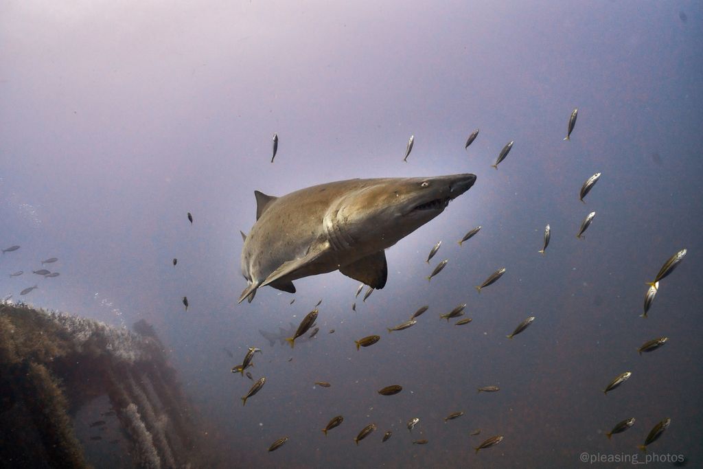 2a5e2a14-7d3e-4ad2-b403-95ae967593da