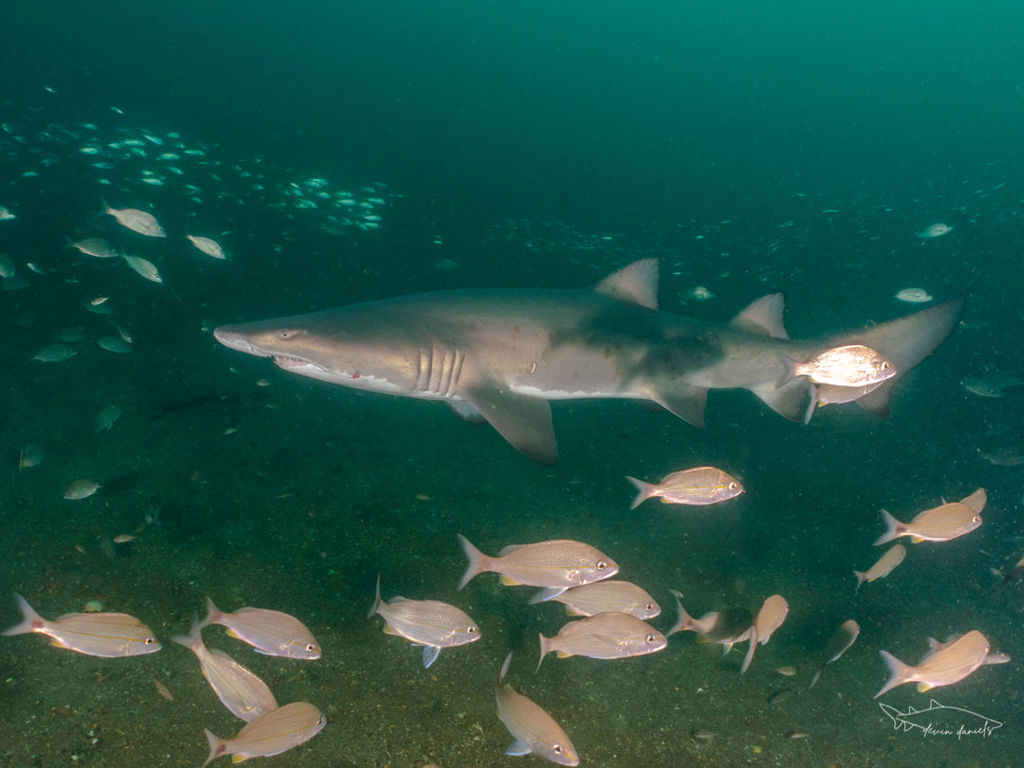 35fe88bb-29cf-4fe0-b93d-85c224b6a3e6