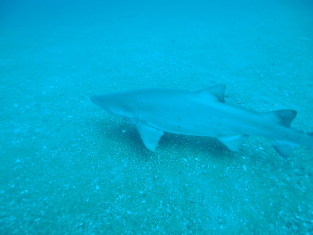 875d76ae-1958-443e-a804-eaa6349be6d7