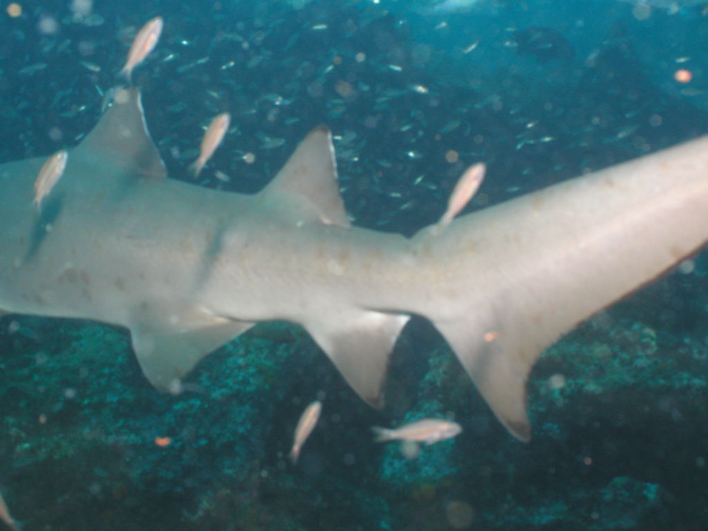 2ca138e2-998f-416b-9e05-a040dcfab9f9