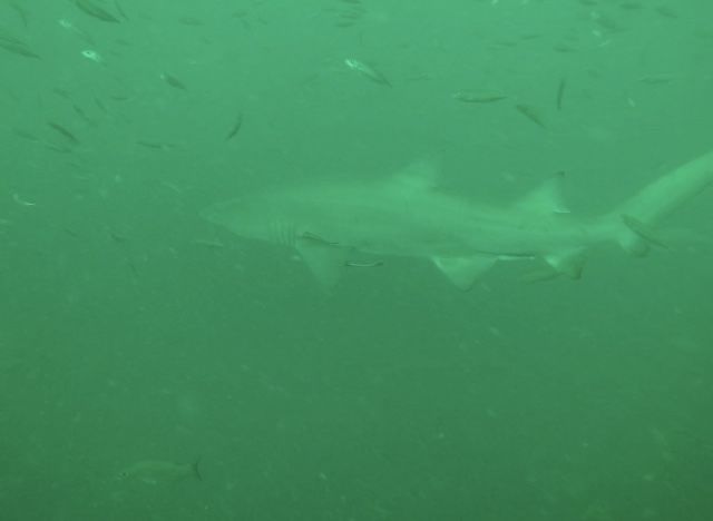 e92fefc3-0bda-4960-893b-59d5f9460f1d