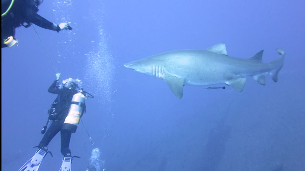 b7a58e0b-155c-4142-9684-cbe78db95546