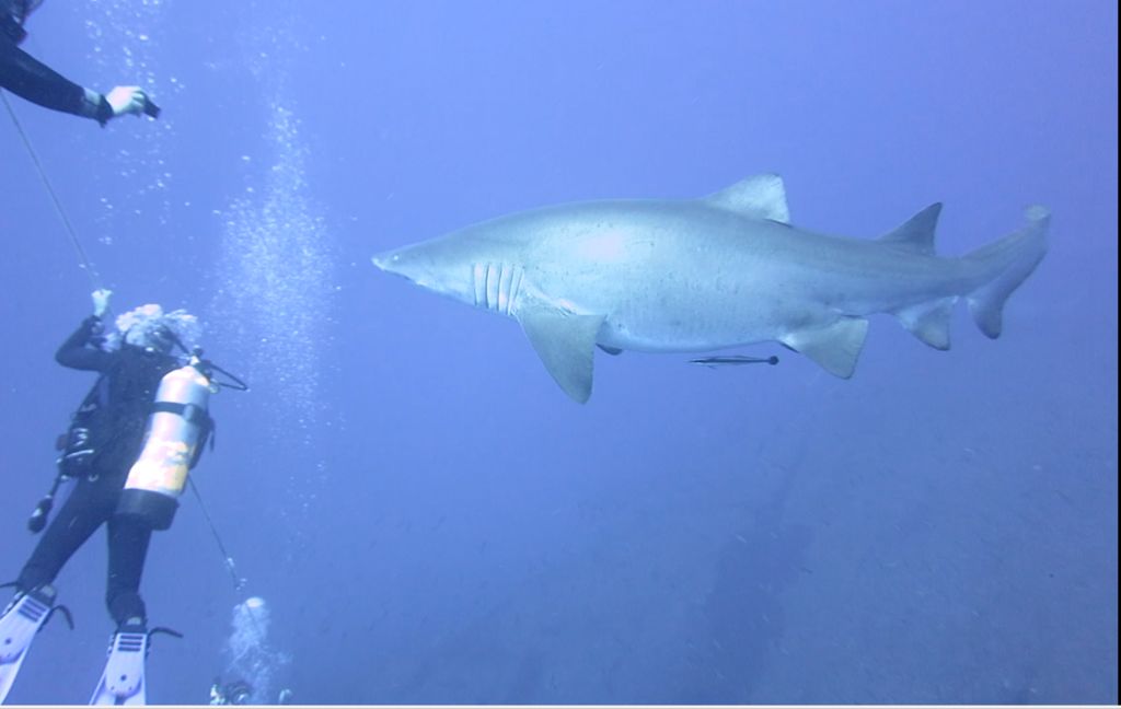 b7a58e0b-155c-4142-9684-cbe78db95546