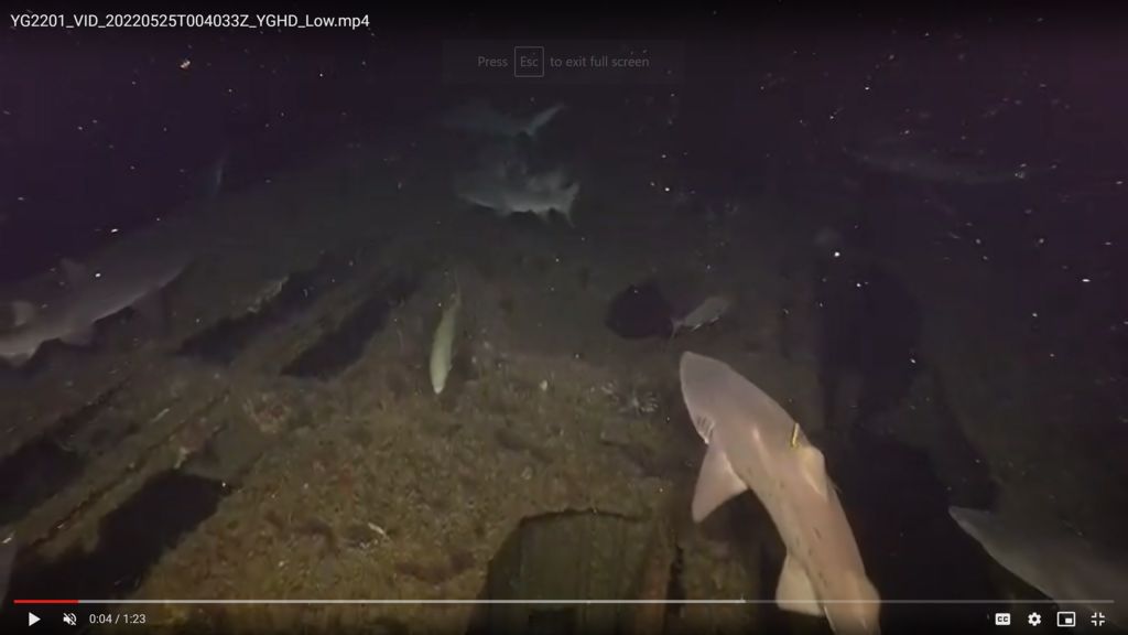 2a9687f9-d801-4e4d-bbf7-470096e85642