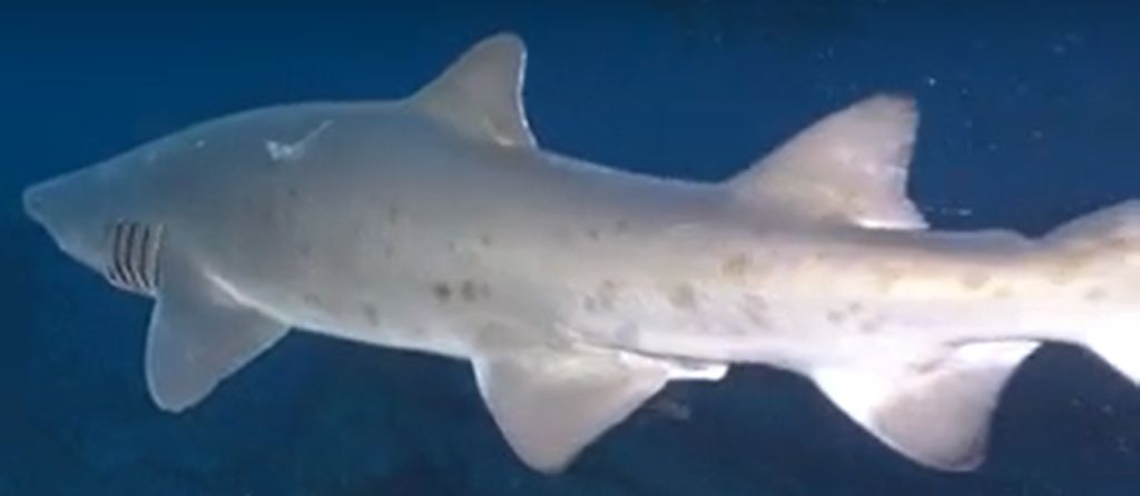 12cdfd14-0401-4c95-96a4-f0d2b978d462