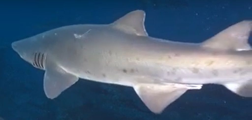 12cdfd14-0401-4c95-96a4-f0d2b978d462