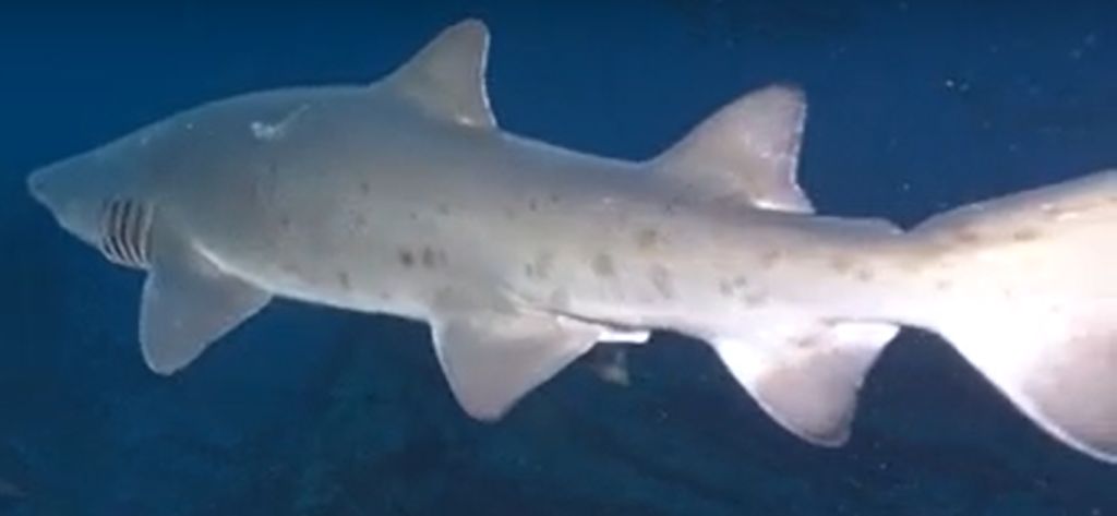 12cdfd14-0401-4c95-96a4-f0d2b978d462